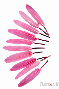 Gans - 10-15 cm - oudroze